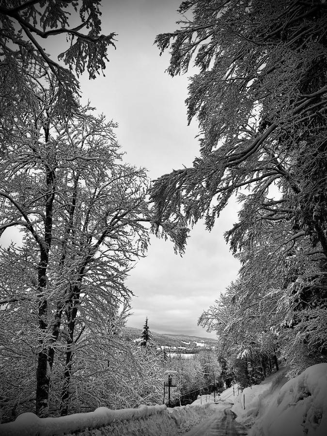 Hotel De Ville Du Sentier Le Sentier Zewnętrze zdjęcie